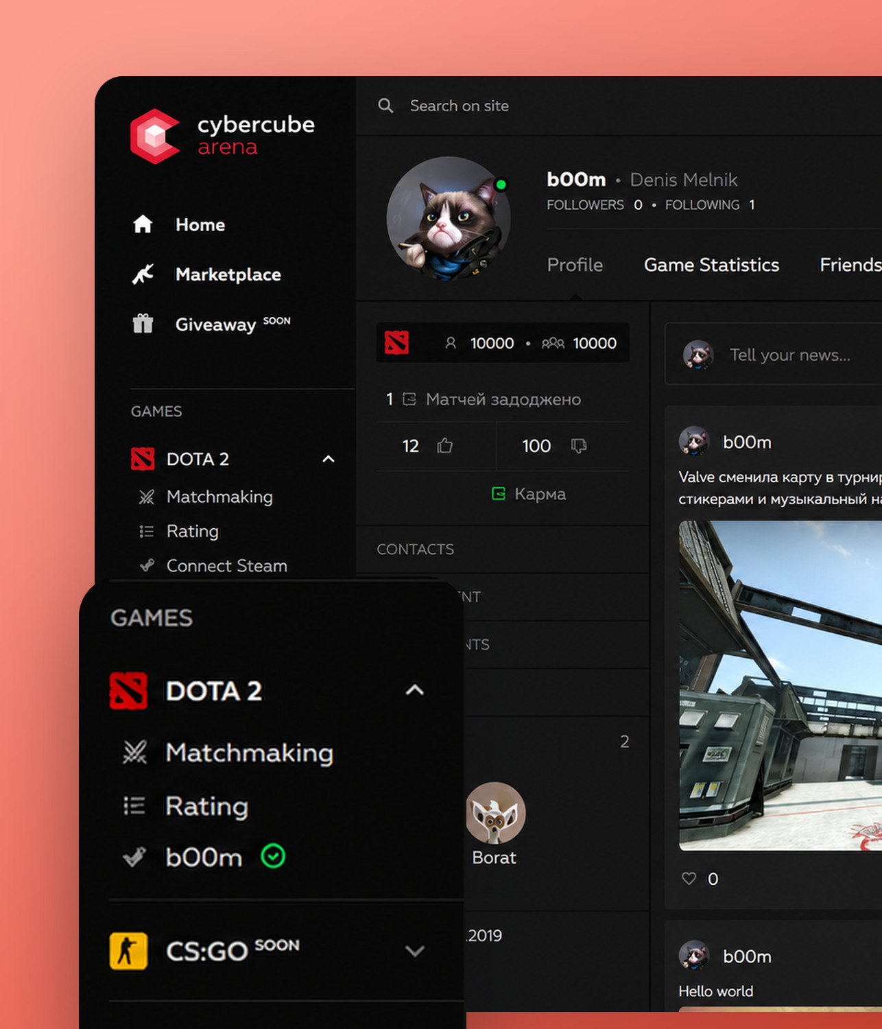 Cybercube esports platform: game statistics and player profile