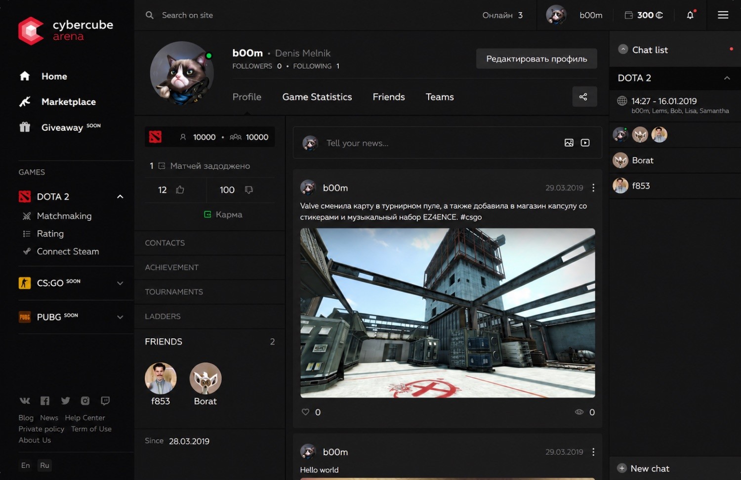 Cybercube Arena user profile with posts, karma, friends, game stats, and a chat panel