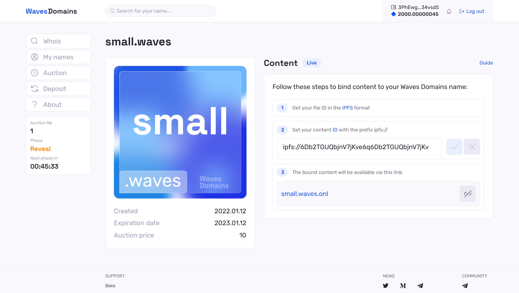 Waves Domains name detail for small.waves with its NFT, dates, and steps to bind IPFS content